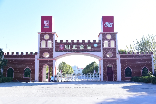 3201345.jpg